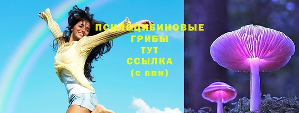 apvp Дмитров