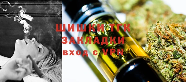 гидропоника Дмитриев