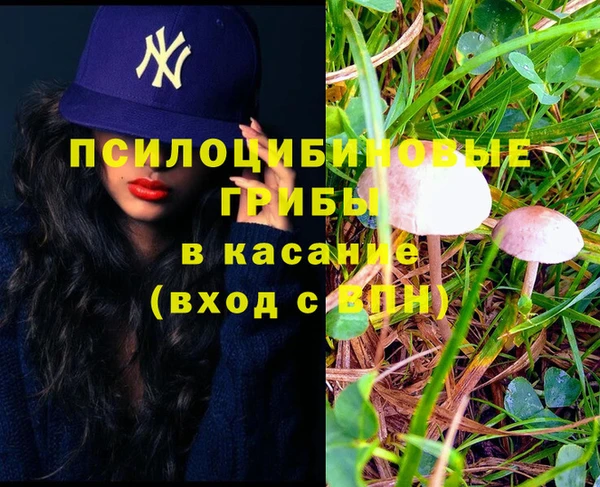 каннабис Дмитровск