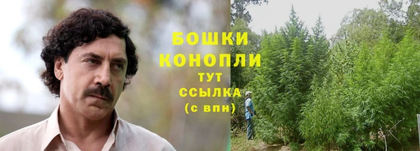 гидропоника Дмитриев