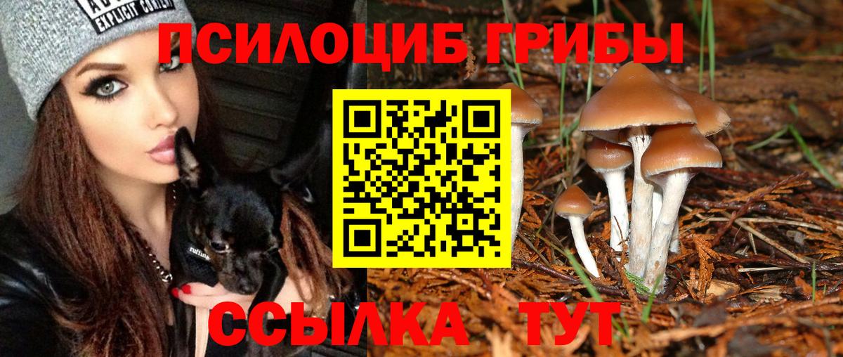 ГАШ  Ефремов  Конопля  Гашиш  COCAIN  Магазины продажи наркотиков  Мефедрон  Меф   Вход с VPN  МАРИХУАНА 