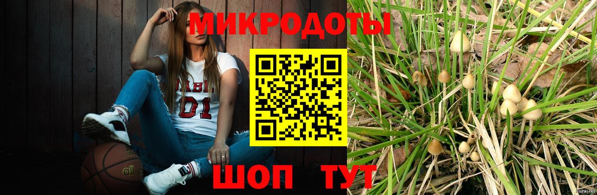 Ефремов  цены наркотик  Вход с VPN  Псилоцибиновые грибы Magic Shrooms  Галлюциногенные грибы прущие грибы 