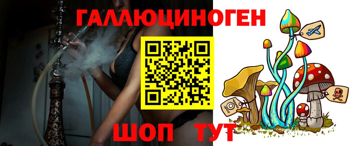 Галлюциногенные грибы Psilocybine cubensis Ефремов